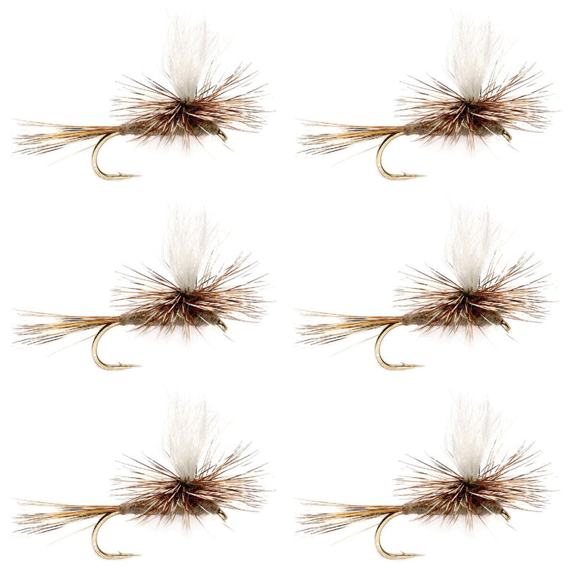 Set of six Adams Parachute Classic Dry Flies for trout, size 10, featuring calf tail and realistic fly fishing design.