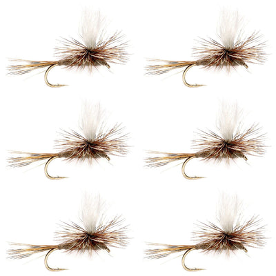Set of six Adams Parachute Dry Flies for trout fishing, size 12, with calf tail and classic dry fly design.