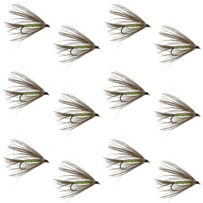 Set of 12 Carey Special Soft Hackle Grouse and Bright Green Wet Flies for trout fishing, featuring hook size 10 from The Fly Fishing Place