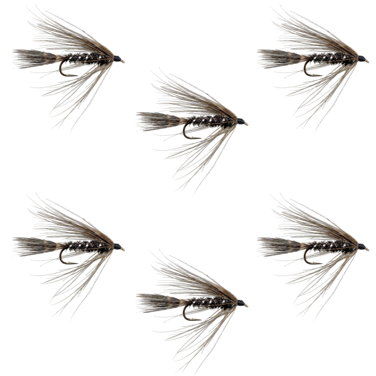 Set of 6 Carey Special Soft Hackle Grouse and Peacock Wet Flies for trout fishing, hook size 10, by The Fly Fishing Place