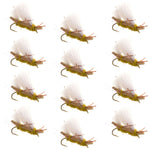 Set of 12 Chubby Chernobyl Ant Golden Foam Trout Dry Flies with hooks, size 10, designed for fly fishing.