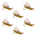 Set of six Chubby Chernobyl Ant Golden Foam Dry Flies for trout fishing, size 10 hooks, designed by The Fly Fishing Place.
