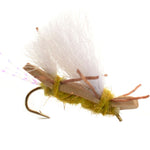 Four Chubby Chernobyl Ant golden foam dry flies for trout fishing, size 10 hooks, from The Fly Fishing Place.