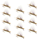 Set of 12 Chubby Chernobyl Ant tan foam dry flies for trout fishing, size 10, designed for effective fly fishing.