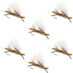 Set of six Chubby Chernobyl Tan Foam Body Grasshopper Dry Flies for trout fishing, size 10 hooks, by The Fly Fishing Place.