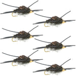 Set of six Kaufmann's Black Stonefly wet flies with rubber legs for trout fishing, hook size 10, by The Fly Fishing Place.