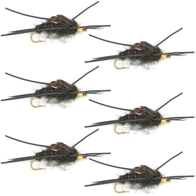 Six Kaufmann's Black Stonefly wet flies with rubber legs on hooks size 12, designed for trout fishing, by The Fly Fishing Place.