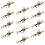 Set of 12 Pale Morning Dun PMD Cripple dry flies for trout fishing, size 18, by The Fly Fishing Place.