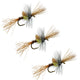 3 Pack Pale Morning Dun PMD Cripple Mayfly  Hook Size 18