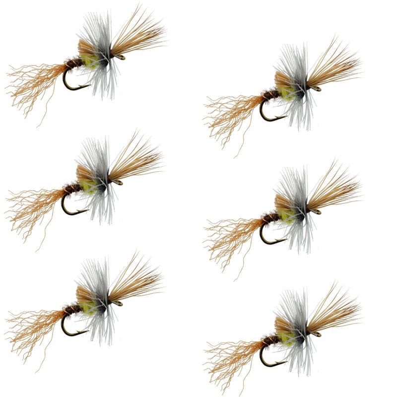 Six Pale Morning Dun PMD Cripple dry trout fishing flies with size 18 hooks, designed for fly fishing and trout angling.