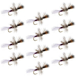 Set of 12 Purple Haze Cripple Mayfly dry flies for trout fishing, size 14, by The Fly Fishing Place.
