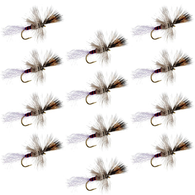 Set of 12 Purple Haze Cripple Mayfly dry flies for trout fishing, size 14, by The Fly Fishing Place.