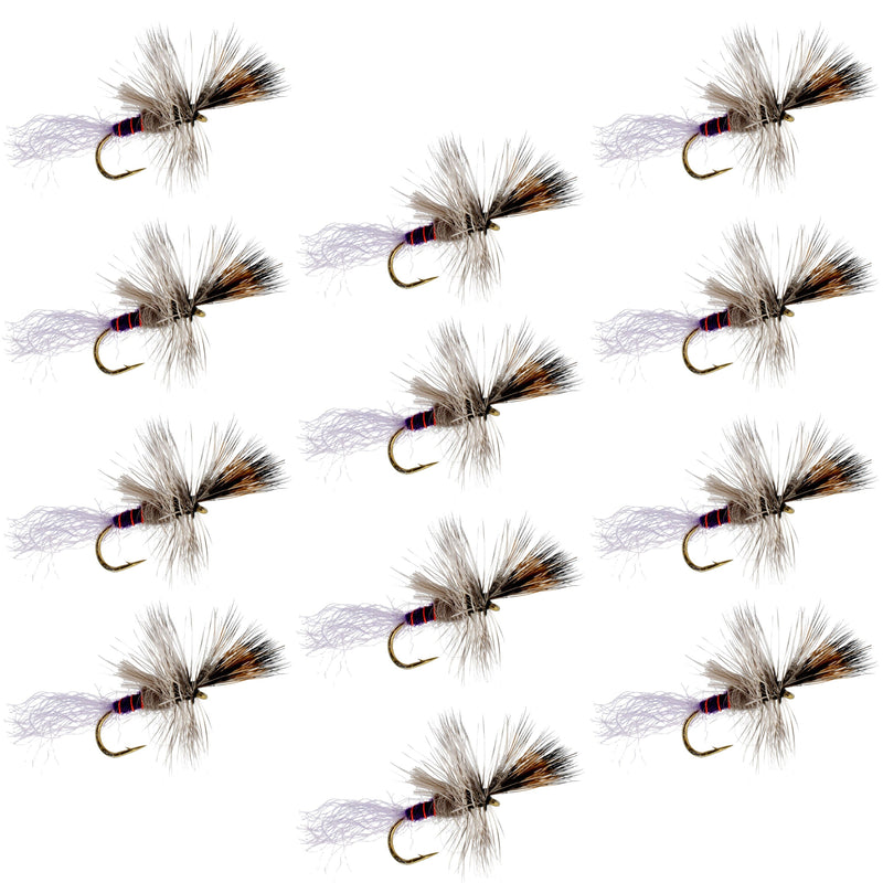 Set of 12 Purple Haze Cripple Mayfly dry flies for trout fishing, size 14, by The Fly Fishing Place.