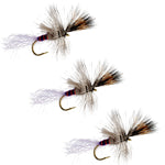Three Purple Haze Cripple Mayfly trout dry flies, size 14, with purple and natural feather detailing, used for fly fishing.