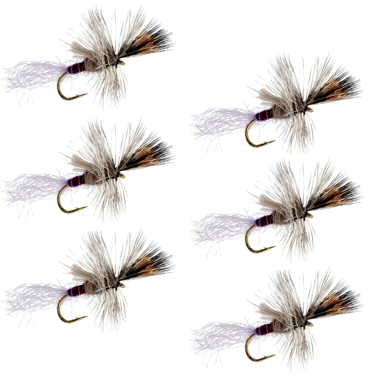 Six Purple Haze Cripple Mayfly size 16 trout dry flies for fly fishing, featuring realistic fly patterns and vibrant purple c