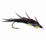 Double bead black stonefly wet fly with black biot legs for trout fishing, size 12, featuring realistic insect details.