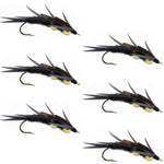 Set of 6 black stonefly wet flies with double beads and biot legs, designed for trout fishing, hook size 10.