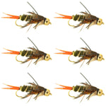 Set of six Double Bead Twenty Incher Nymph Trout Fly Fishing Flies with hooks in size 14, designed for fly fishing.