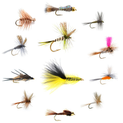 Eastern Trout Fly Assortment featuring 12 essential trout fishing flies from The Fly Fishing Place, displayed on a fishing tackle tray.