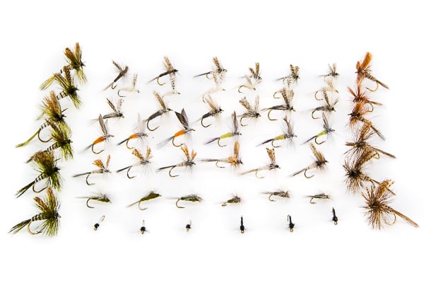 Eastern Dry Fly Assortment--48 Flies #24