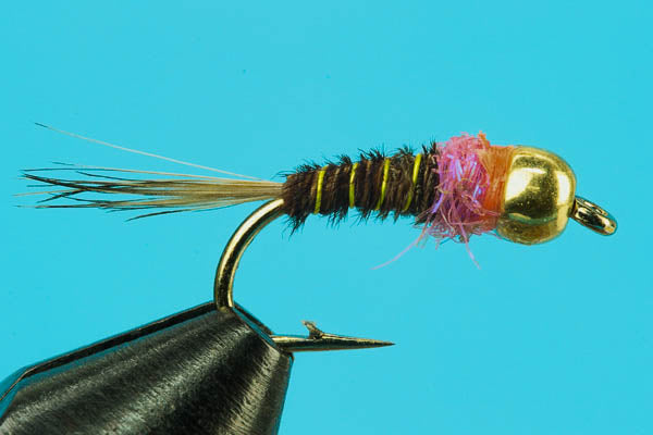 Fishing fly with gold head and pink body on a blue background