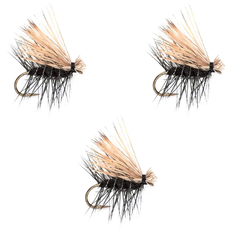 Set of three black elk hair caddis trout dry flies in size 14, durable fishing flies for fly fishing with realistic elk hair detail.