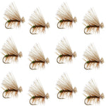 Set of 12 Olive Elk Hair Caddis trout dry flies by The Fly Fishing Place, size 12, featuring realistic elk hair and detailed craftsmanship.