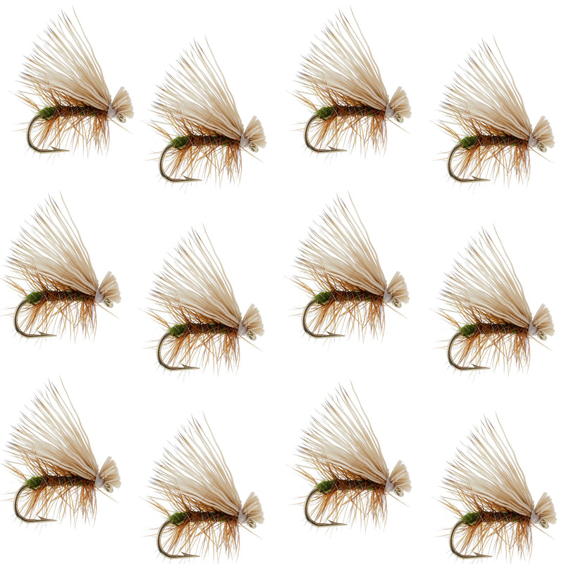 Set of 12 Olive Elk Hair Caddis trout dry flies by The Fly Fishing Place, size 12, featuring realistic elk hair and detailed craftsmanship.