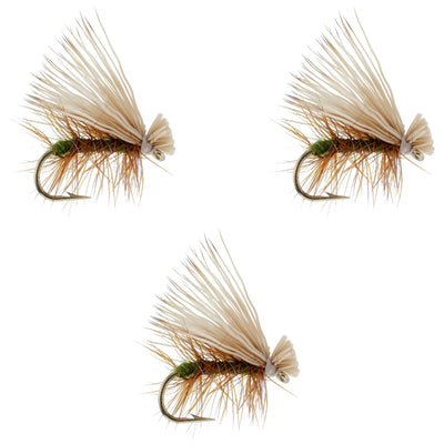Set of three Olive Elk Hair Caddis dry flies for trout fishing, hook size 12, by The Fly Fishing Place.