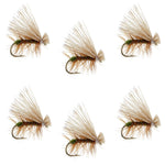 Set of 6 olive Elk Hair Caddis trout dry flies, size 12, for fly fishing by The Fly Fishing Place.