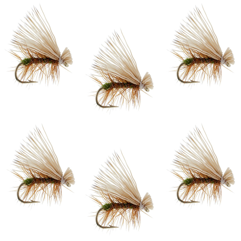 Set of six Olive Elk Hair Caddis trout dry flies in size 16, crafted by The Fly Fishing Place for fly fishing and trout fishing.