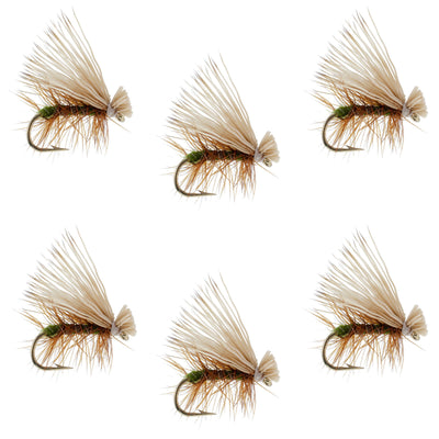 Set of 6 Olive Elk Hair Caddis dry flies for trout fishing, size 14, featuring realistic elk hair and classic dry fly design.