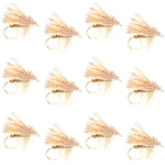 Set of 12 yellow elk hair caddis dry flies for trout fishing, size 18, by The Fly Fishing Place.