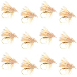 Set of 12 yellow Elk Hair Caddis dry flies for trout fishing, size 12, by The Fly Fishing Place.