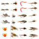 Trout Flies Assortment - 24 Flies for Trout Fly Fishing with Fly Box - Essential Dry and Wet Fly Selection