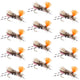 Feth Hopper Pink - Foam Grasshopper Fly Pattern - 12 Flies Hook Size 10