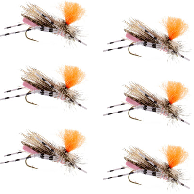 Set of six pink and orange Feth Hopper foam fly fishing lures for trout dry fly fishing, size 10 hooks.