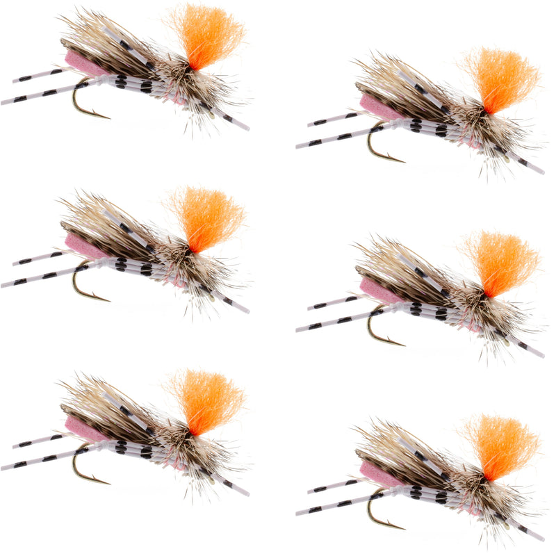 Set of six pink and orange Feth Hopper foam fly fishing lures for trout dry fly fishing, size 10 hooks.
