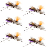 Set of six Feth Hopper Purple foam grasshopper dry flies for trout fishing, size 10, by The Fly Fishing Place.