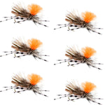 Set of six Feth Hopper Tan foam grasshopper dry flies with orange accents, sized 10 hooks for trout fly fishing.