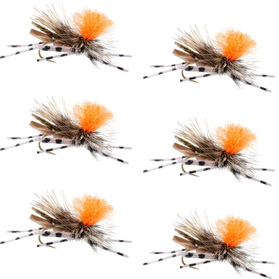 Set of six Feth Hopper Tan foam grasshopper dry flies with orange accents, sized 10 hooks for trout fly fishing.