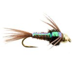 Six barbless Pheasant Tail Nymph flies for trout fishing, size 14, featuring flash-back design, by The Fly Fishing Place.