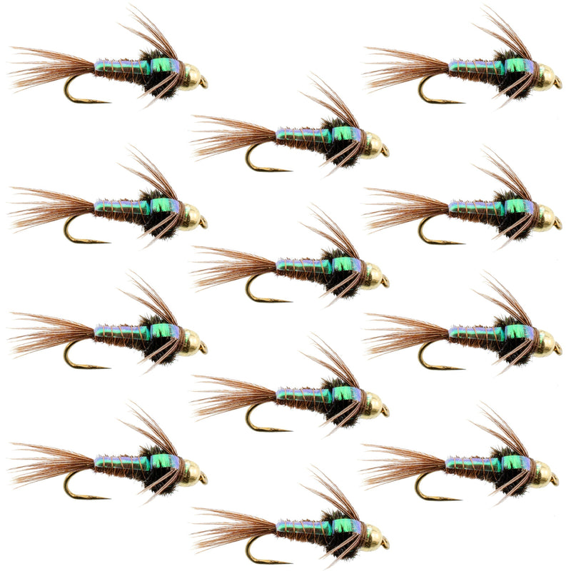 Barbless bead head Flashback Pheasant Tail Nymph fly set for trout fishing, size 18, with detailed fly hooks and natural feather pattern.