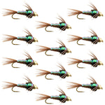 Set of 12 barbless trout wet flies featuring Flashback Pheasant Tail Nymphs with size 16 hooks for fly fishing.