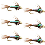 Six barbless trout wet flies featuring flash-back pheasant tail nymphs with size 12 hooks for fly fishing.