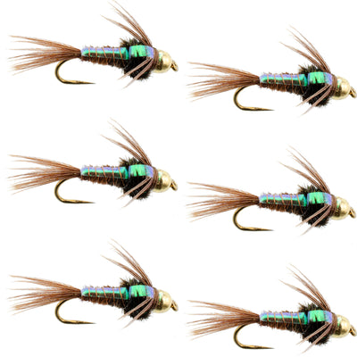Six barbless trout wet flies featuring flash-back pheasant tail nymphs with size 12 hooks for fly fishing.