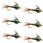 Set of six barbless trout wet flies featuring flash-back pheasant tail nymphs with hooks size 18 for fly fishing.