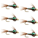 Set of six barbless trout wet flies featuring flashback pheasant tail nymphs, size 16, for fly fishing.