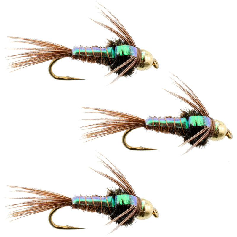 Three bead head pheasant tail nymph wet flies for trout fishing, size 16, with flashback and detailed hook design.