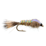 Set of 6 Classic Weighted Flashback Gold Ribbed Hares Ear Nymph trout wet flies, size 14, for effective fly fishing.